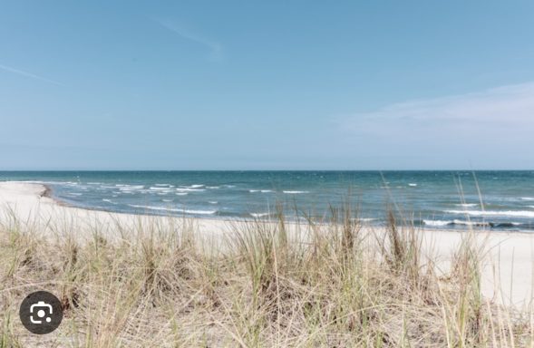 "Brasilien" bei Schönberg