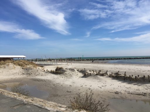Hundestrand Ostseebad Damp
